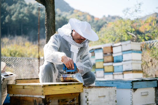 The beekeeper works in the apiary