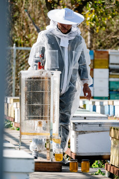 The beekeeper works in the apiary