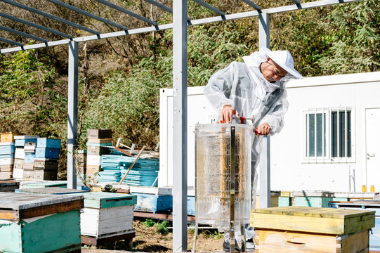 The beekeeper works in the apiary