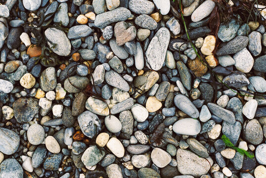 Nature Abstract of Smooth Beach Stones