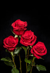 Fototapeta premium bunch of roses