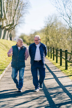 Cheerful aged men walking on embarkment of river
