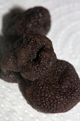 Black wild summer truffles close up family tuberaceae botanical modern high quality big size background prints kitchen home decoration