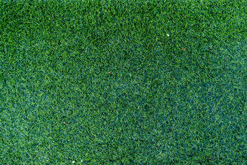 Fototapeta premium green grass texture