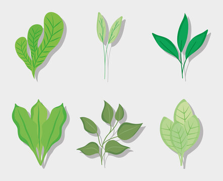 green plants icon set