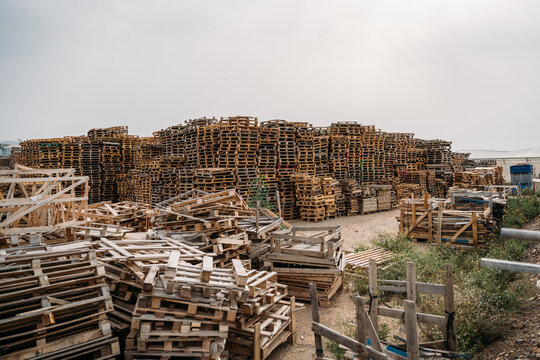 Pile of wooden boxes in greenhouse