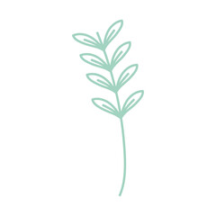 leaves stem icon