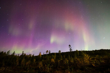 Northern Lights Creates a Display of Light and Color On the Starry Sky