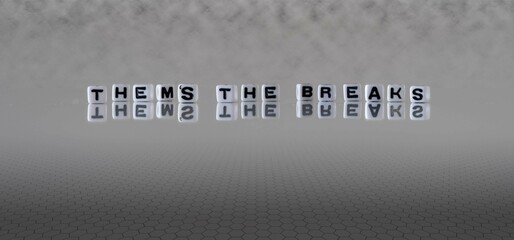 them's the breaks word or concept represented by black and white letter cubes on a grey horizon...