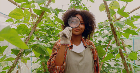 A girl using a magnifying glass to explore a tree. Young african america girl using a magnifying glass and looking at camera. Learning outside the classroom.