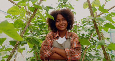 Portrait african america happy female work in vegetables hydroponic farm. Young girl standing and looking at camera with smiling and confident at green house farm.