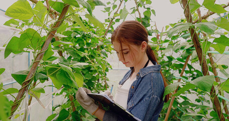 A young girl researcher looks at a long beans and vegetables plant with taking notes on a clipboard. Learning outside the classroom.