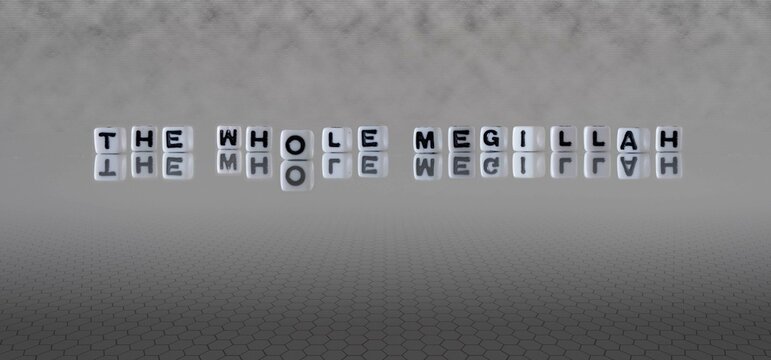 the whole megillah word or concept represented by black and white letter cubes on a grey horizon background stretching to infinity