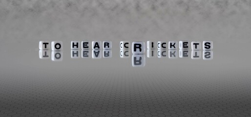 to hear crickets word or concept represented by black and white letter cubes on a grey horizon...