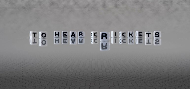 to hear crickets word or concept represented by black and white letter cubes on a grey horizon background stretching to infinity