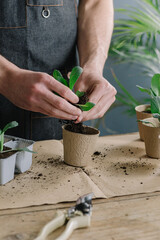 Anonymous Man Repotting Plants In Compostable Vase