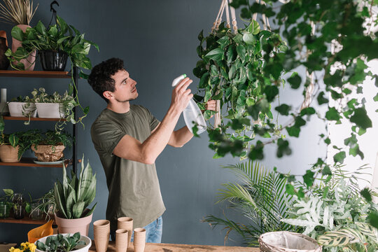Man Watering Hanging Plants After Repotting Surrounded By Nature 
