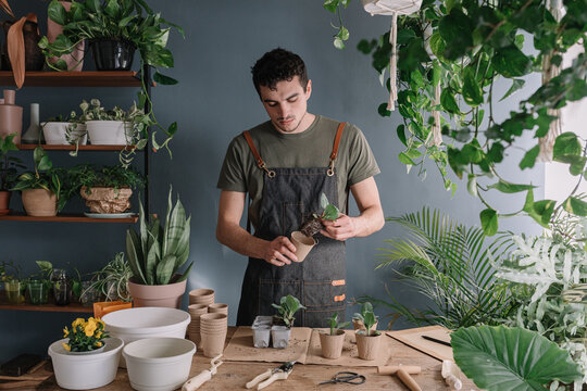 Man Repotting Plants In Compostable Vase