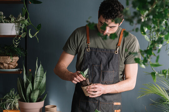 Man Repotting Plants In Compostable Vase