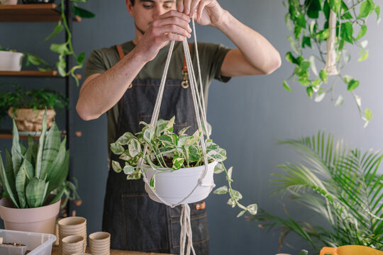 Man Hanging Plants From The Ceiling Surrounded By Nature 