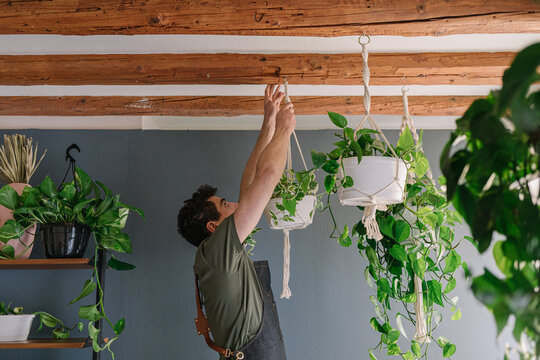 Man Hanging Plants From The Ceiling Surrounded By Nature 