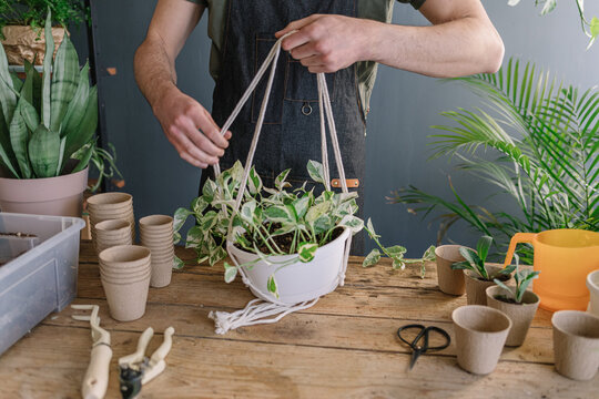 Man Preparing To Hang Plants From The Ceiling Surrounded By Nature  - Powered by Adobe