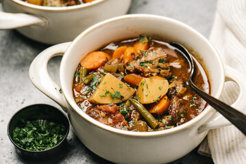 Beef and Vegetable Stew Closeup