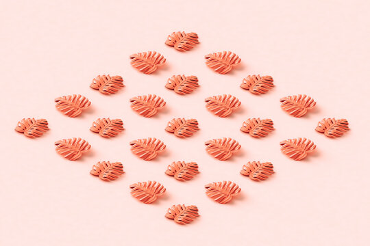 Rhombus from monstera leaves