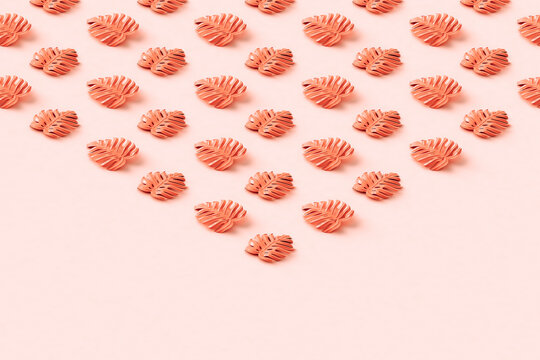 Composition of monstera leaves