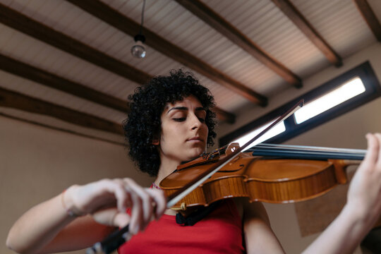 Musician playing the viola
