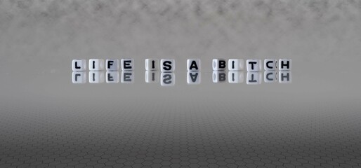 life is a bitch word or concept represented by black and white letter cubes on a grey horizon...