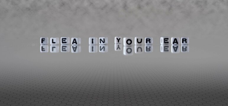 flea in your ear word or concept represented by black and white letter cubes on a grey horizon background stretching to infinity