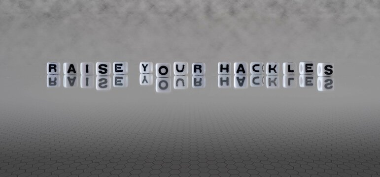 raise your hackles word or concept represented by black and white letter cubes on a grey horizon background stretching to infinity