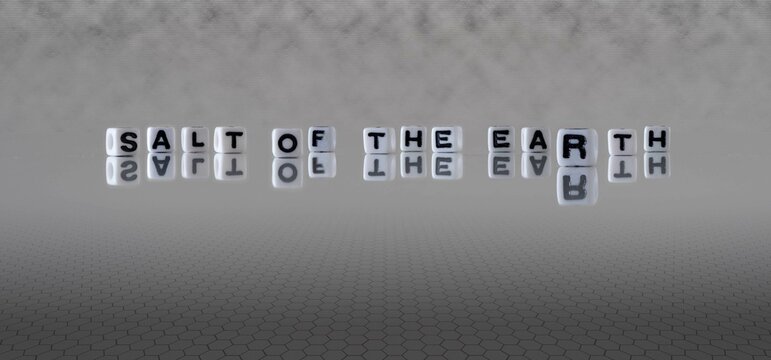 salt of the earth word or concept represented by black and white letter cubes on a grey horizon background stretching to infinity