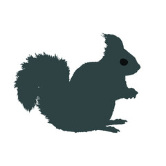  Squirrel vector silhouette on white background