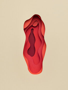 Vagina shape