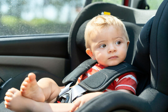 Adorable curious toddler sitting in car seat in auto