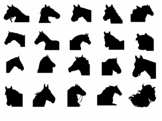 Horse Head with Bridle Black Vector Of A Horse Head On black Background and icons, Graphics for Free EPS