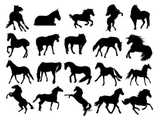 
Vector set bundle of hand drawn horse silhouette isolated on black background, vector illustration graphic art. Horse Vector Art, Icons, and Graphics for Free EPS