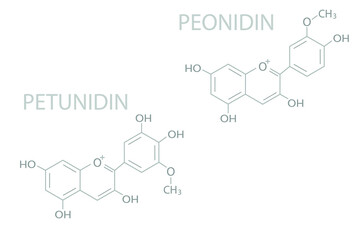 Peonidin or petunidin molecular skeletal chemical formula.	
