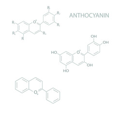 Anthocyanin molecular skeletal chemical formula.	