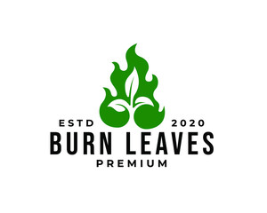 green burning leaves logo, fire and leaf logo icon vector template