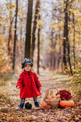 Little girl in a red coat with a basket of autumn fruits in an autumn forest