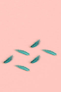rectangle from blue feathers
