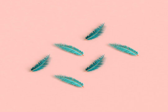 rectangles from blue feathers. with copy space