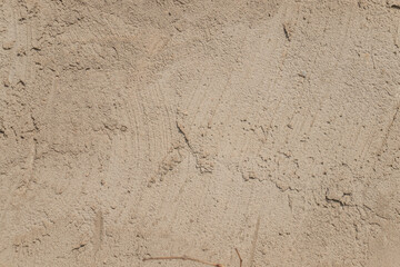 A plastered cement wall as a beautiful backdrop.