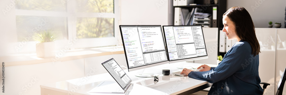 Poster Programmer Woman Coding On Computer