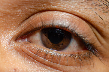 A macro or close up shot of a male eyes