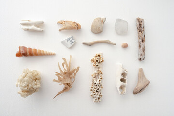 Collection of objects found on the beach