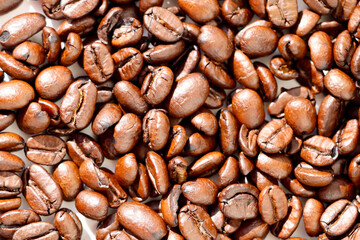 coffee beans on a white background